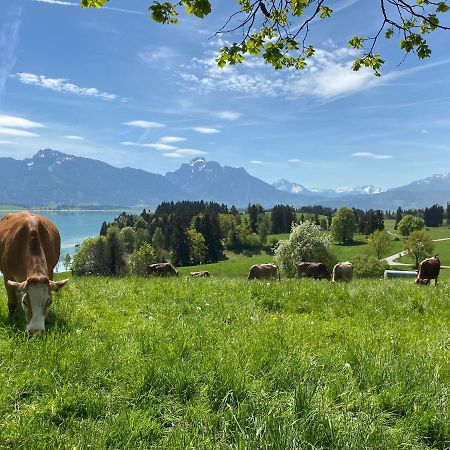 Best Butler Boho Boutique City Apartment Netflix Füssen Eksteriør billede