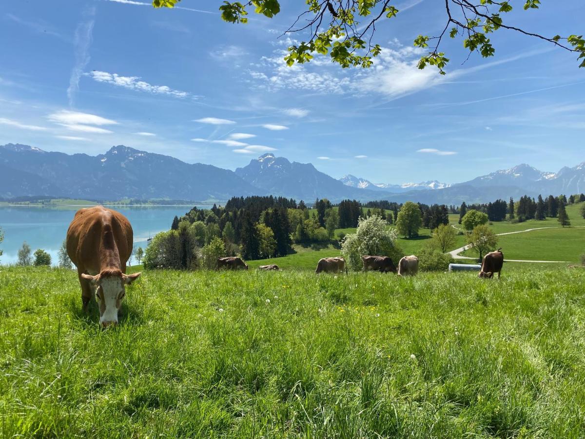 Best Butler Boho Boutique City Apartment Netflix Füssen Eksteriør billede